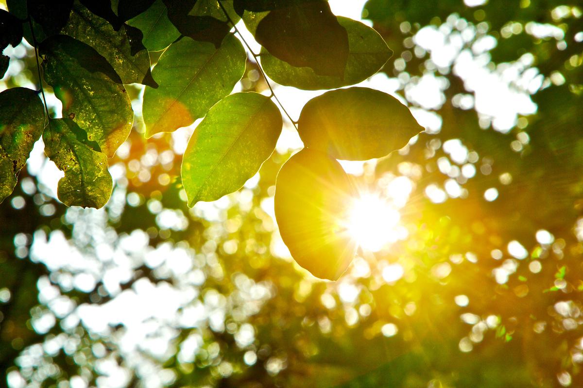 'De halve westerse samenleving schijnt een gebrek aan vitamine D te hebben' 'De halve westerse samenleving schijnt een gebrek aan vitamine D te hebben'