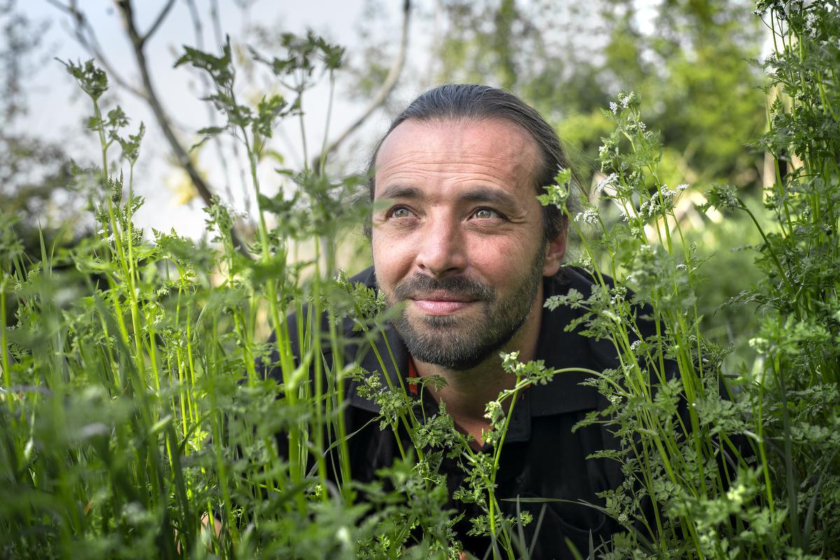 Dit Is De West-Vlaming Die Het Gras Laat Groeien Tijdens ‘Maai Mei Niet ...