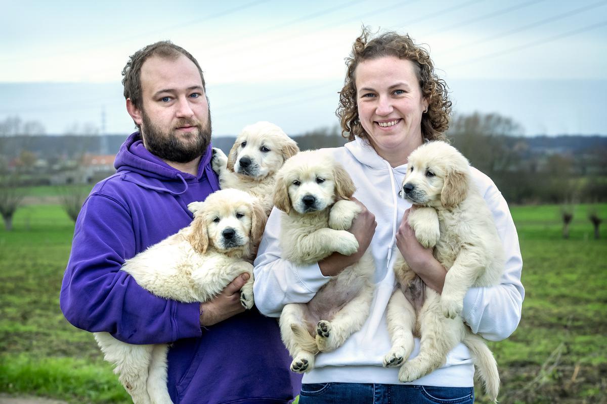 Femky and Dempsey move kennel and kennel home: ‘More room for dogs’