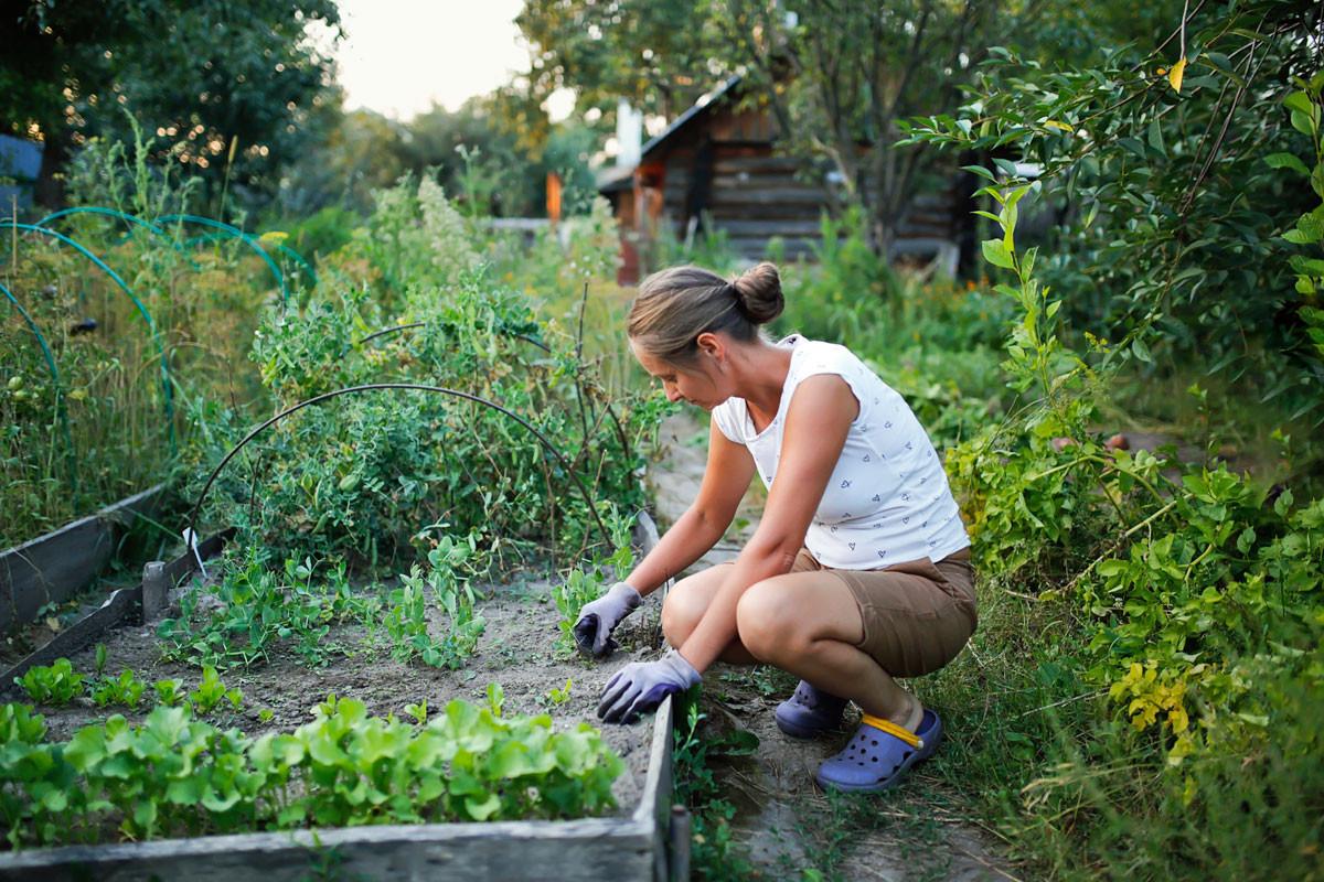 Natuur gezondheid