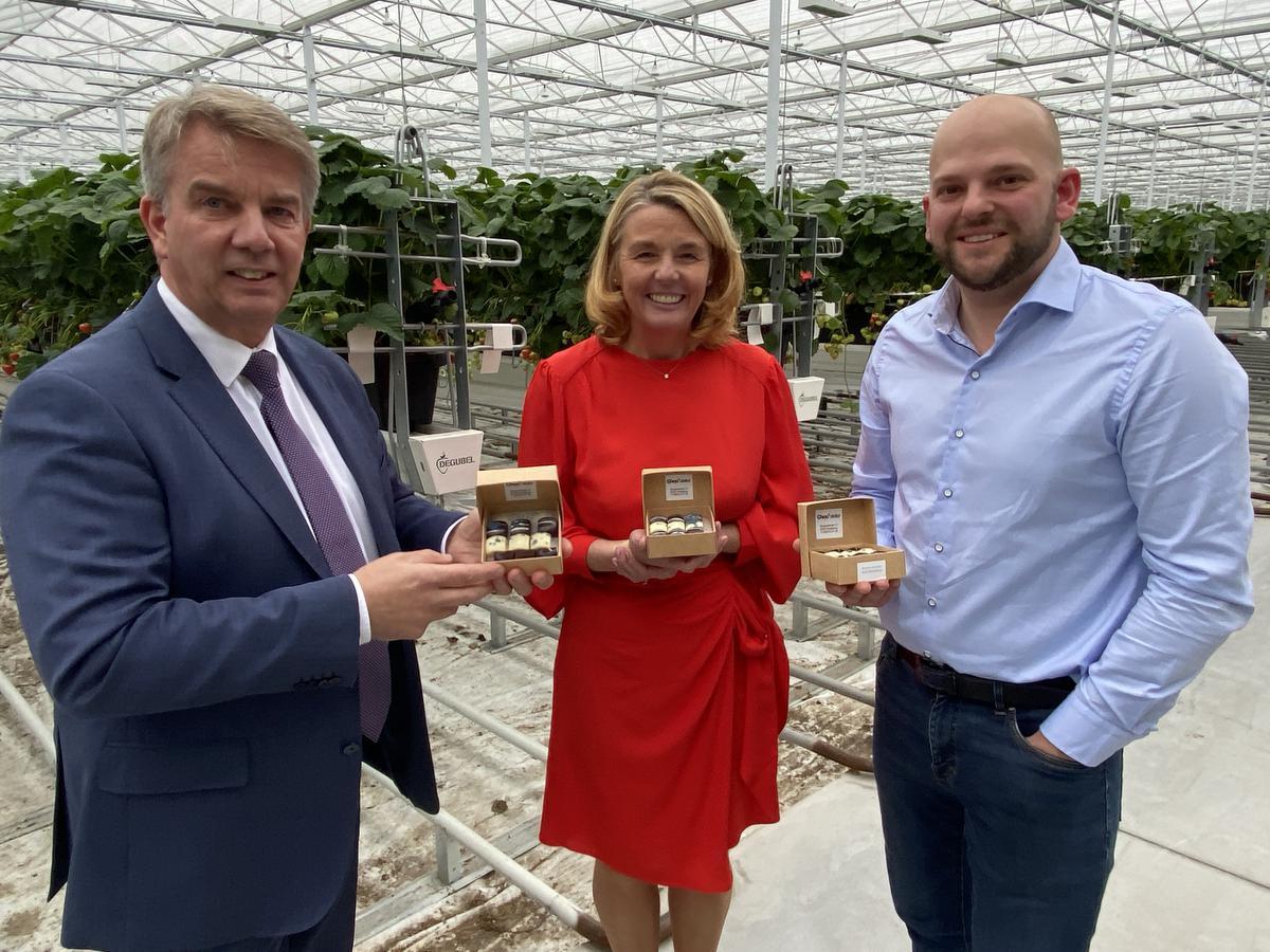 Choc Atelier Uit Oostkamp Stelt Praline Voor Met Aardbeien Uit