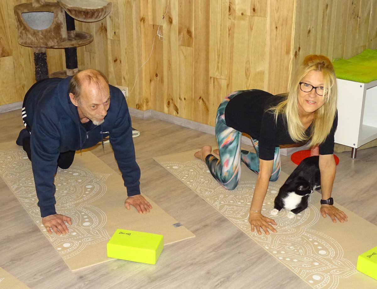 Yogalessen in BaristaCat Oostende: Lenig en kalm tussen de katten - KW.be