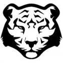 Black Tiger Belgium