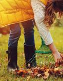 3 raisons de ne pas ramasser les feuilles
