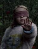 Bird-Box