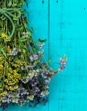 Bouquet de fleurs séchées