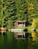 Se réfugier dans une cabane dans les bois