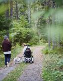 Balades accessibles aux fauteuils roulants