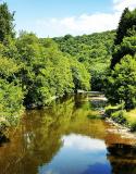 Balades le long de l'Ourthe