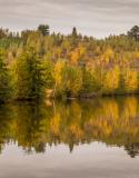Hoge Kempen National Park