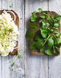 Maak je eigen boterhamsalades