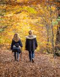 herfstwandelingen ardennen