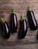aubergine