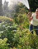 10 trucs pour économiser les arrosages au jardin