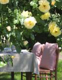 geurende planten