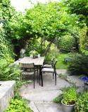 jardin-éponge