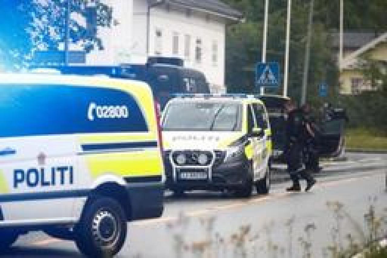 Fusillade dans une mosquée en Norvège: le suspect rejette les accusations