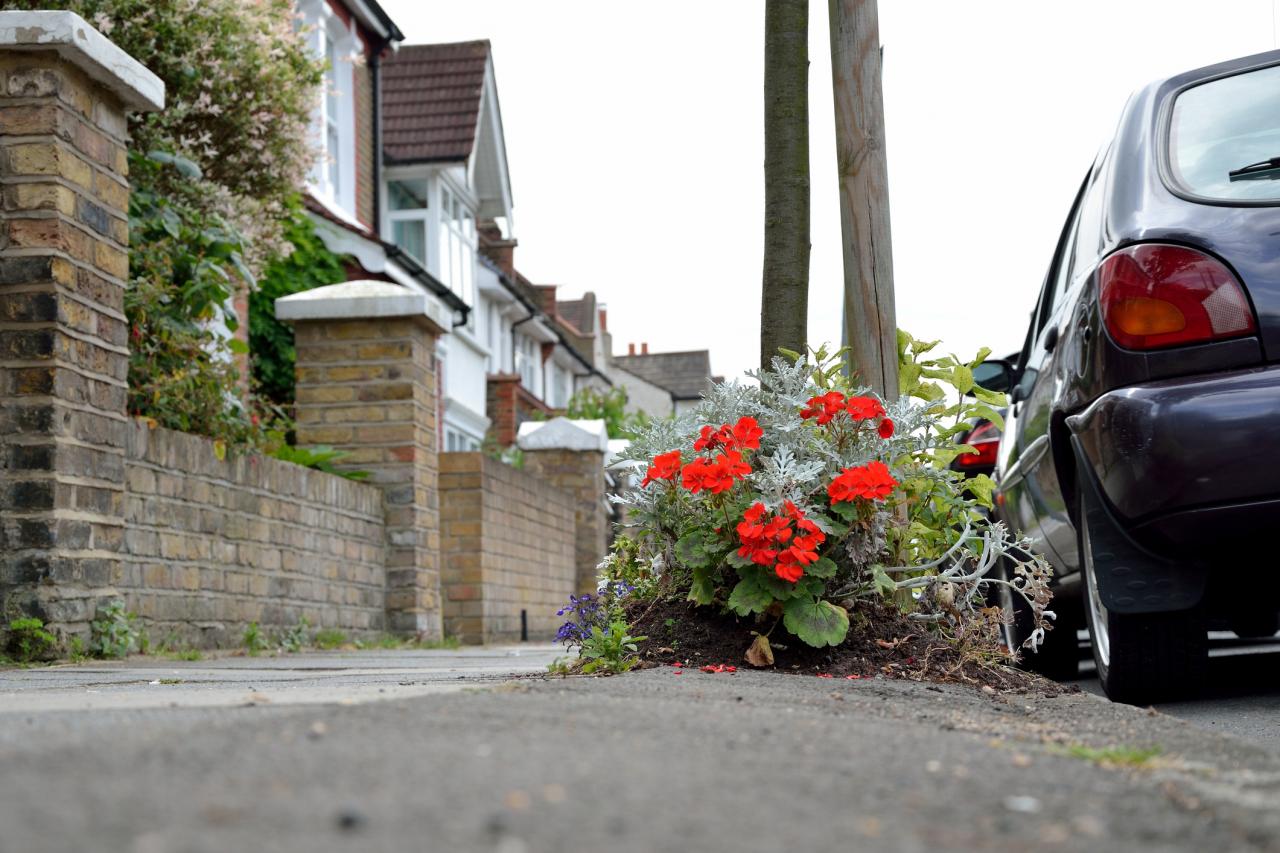 Guerrilla gardening - flowers brighten up a suburban road in London.