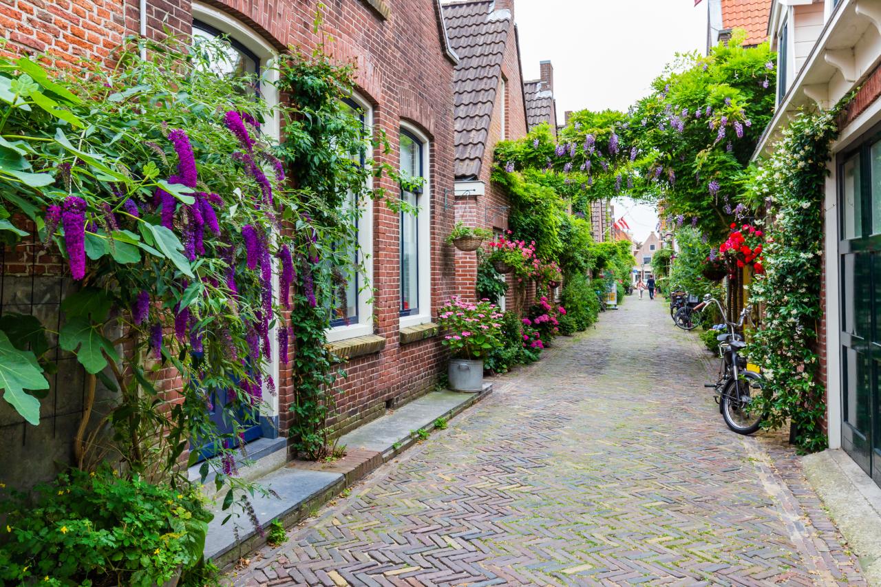 Urban greening with lots of plants and flowers in street in  Alkmaar in North-Holland in The Netehrlands