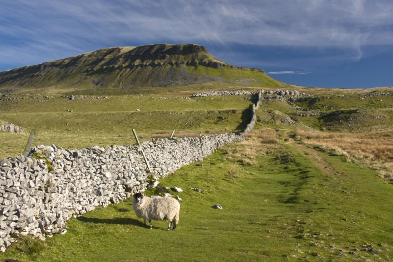 Pen Y Ghent hill , In The Yorkshire Dales , UK