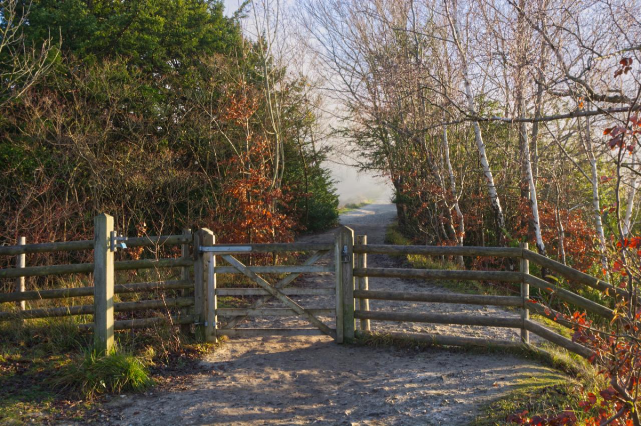 Path and gate on Box Hill at Dorking, Surrey, England