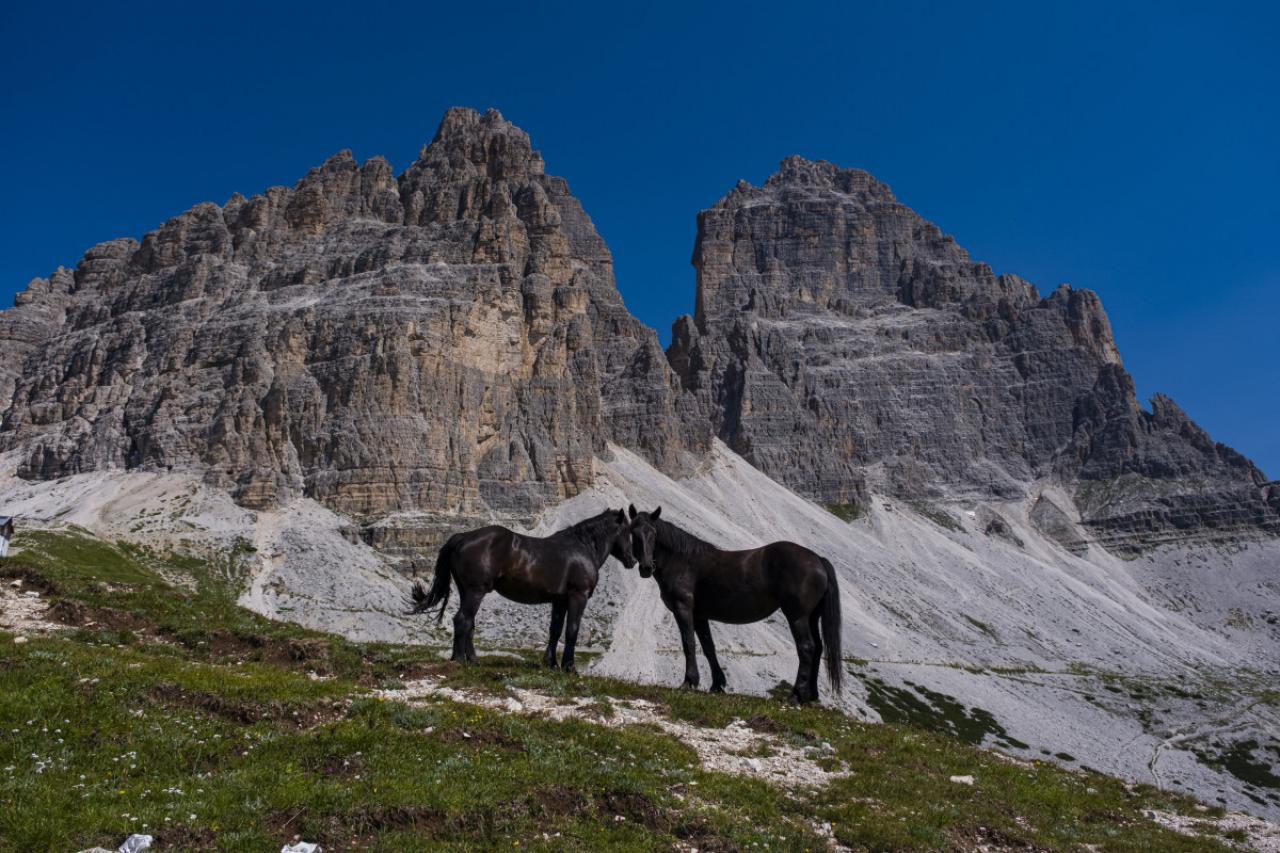 AURONZO DI CADORE, VENETO, ITALY - 2021/07/21: Two black horses are standing on a rocky hill, the south faces of the mountain group Tre Cime di Lavaredo in the distance. (Photo by Frank Bienewald/LightRocket via Getty Images)