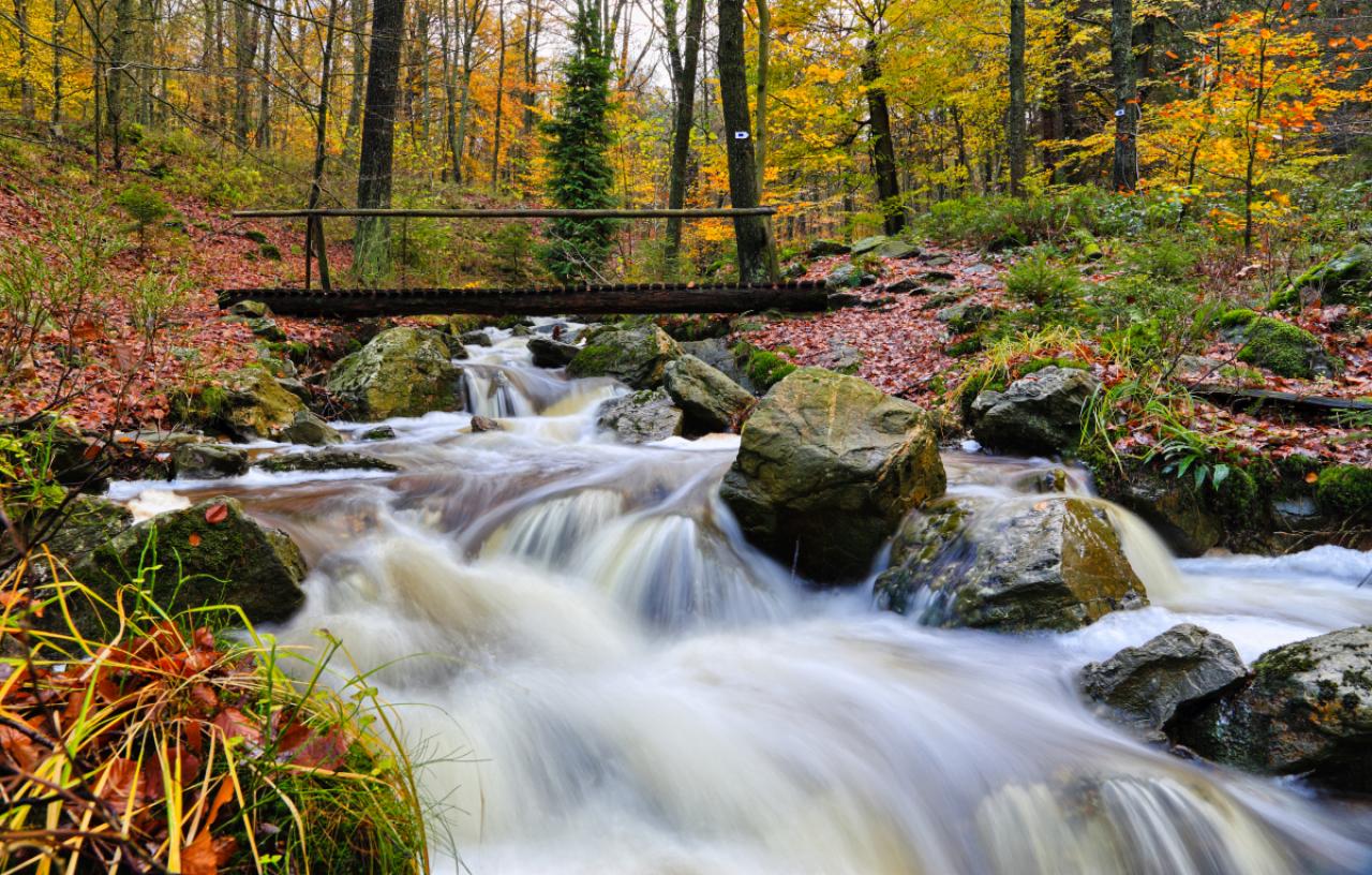 Waterfall and a wooden bridge in the forest in Solwaster, Belgium. Autumn colors, long exposure, nobody
