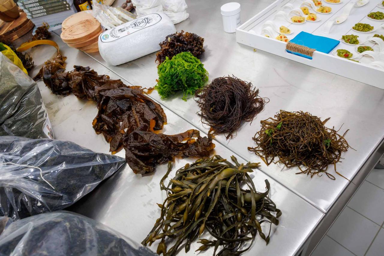 Seaweed based food products pictured at the launch of the first 'algae month' to promote seaweed as a source of protein, in Oostende, Saturday 30 April 2022. BELGA PHOTO KURT DESPLENTER