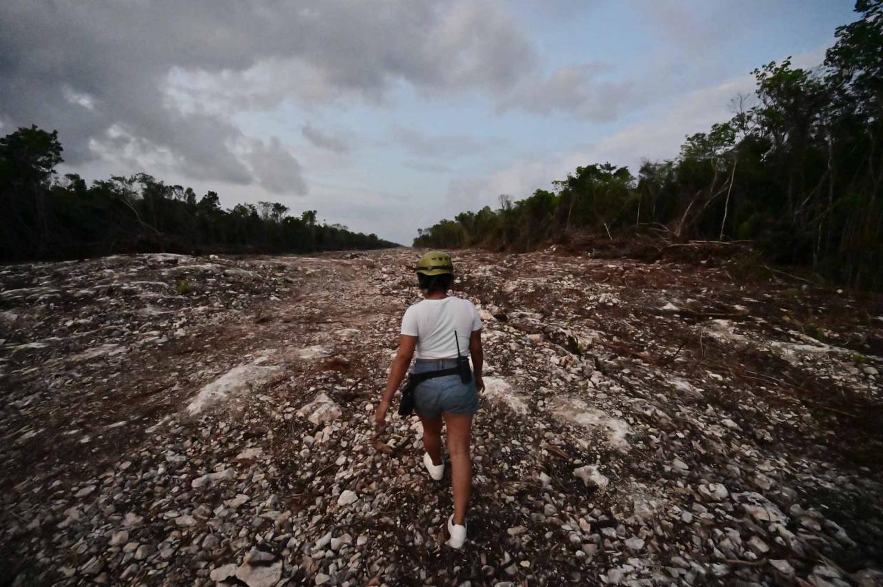 An activist walks through the construction site of Section 5 South of the Mayan Train between the resorts of Playa del Carmen and Tulum which was halted by a district judge pending resolution of an injunction sought by scuba divers and environmentalists -- in the jungle in Playa del Carmen, Quintana Roo State, Mexico, on April 27, 2022. - A Mexican judge earlier this month suspended construction of part of President Andres Manuel Lopez Obrador's flagship tourist train project in the Yucatan peninsula due to a lack of environmental impact studies. The Mayan Train, a roughly 1,500-kilometre (950 mile) rail loop linking popular Caribbean beach resorts and archeological ruins, has met with opposition from environmentalists and indigenous communities. (Photo by Pedro PARDO / AFP)