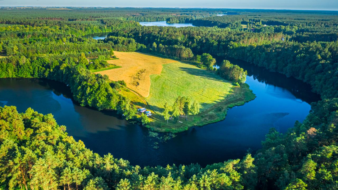 Curvy river between forests in summer at sunrise, aerial view of nature in Poland