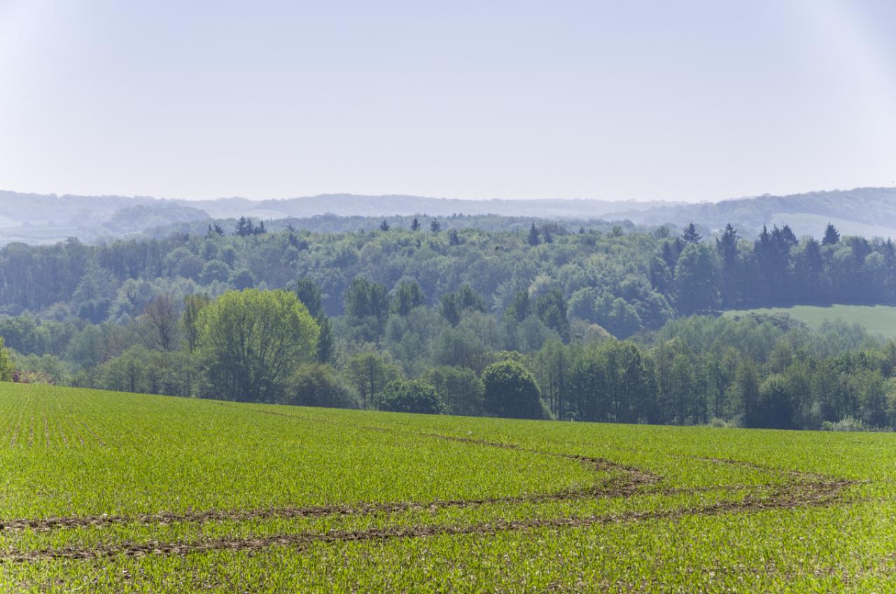 View in spring of the stour valley near Chilham in Kent, England
