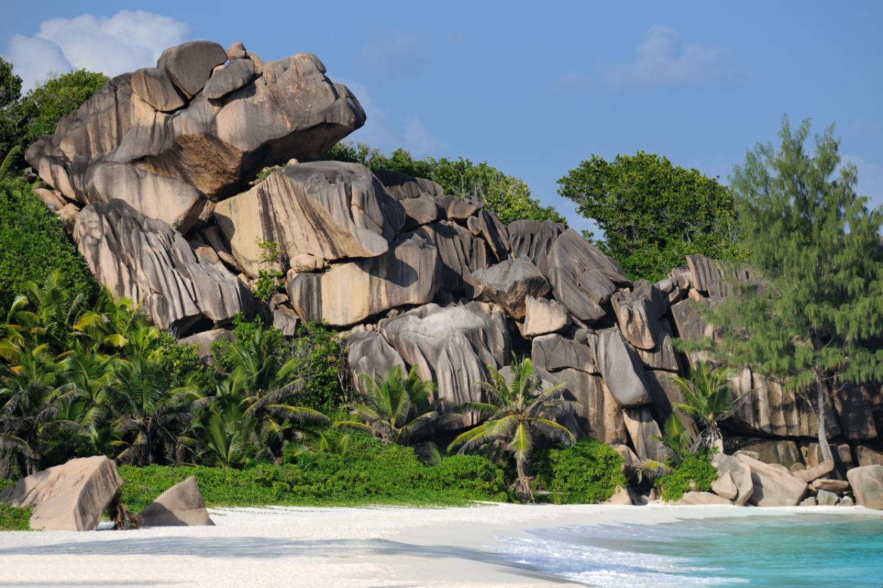 Rare shot and unique perspective of the famous Grand Anse, Seychelles. Polarizer! Great Detail and Quality. Lots of naturally grown palm trees! Probably the most idyllic beach in the world! Nikon D3X.