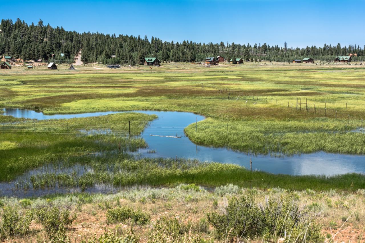 View of the field of Duck Creek Village in Dixie National Forest, Utah
