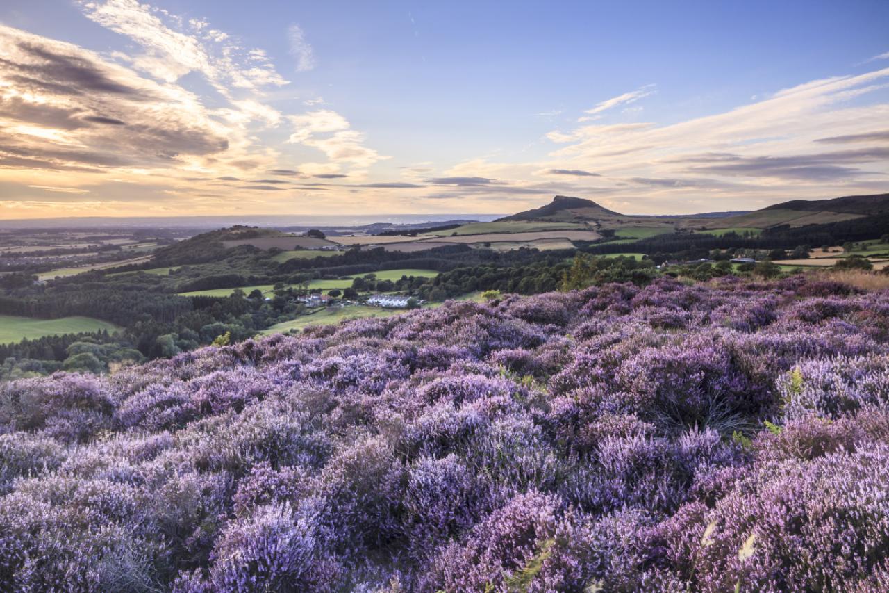 Roseberry Topping in the North York Moors.