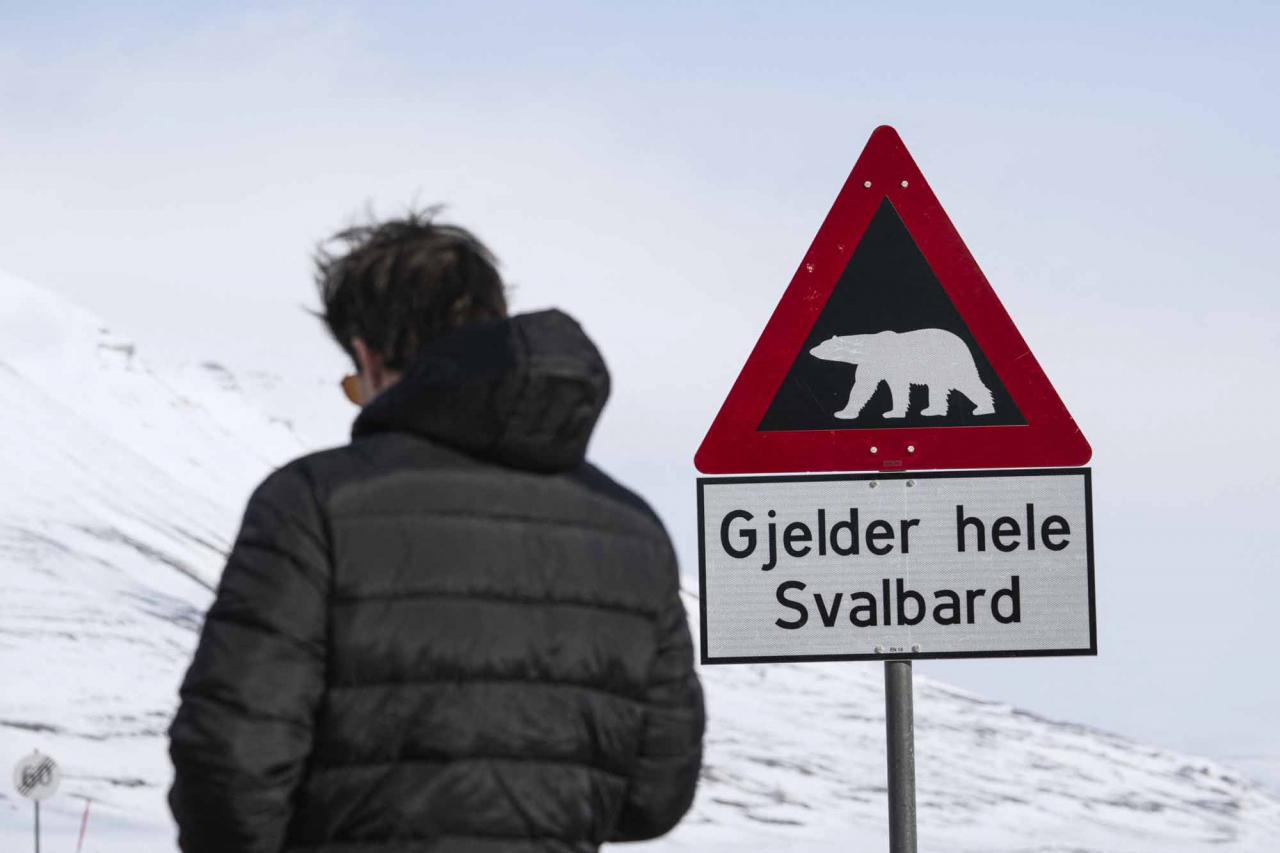 A man is pictured standing next to a warning sign depicting a polar bear at the side of a road near Longyearbyen on May 2, 2022, on the Svalbard Archipelago, northern Norway. - Home to polar bears, the midnight sun and the northern lights, a Norwegian archipelago perched high in the Arctic is trying to find a way to profit from its pristine wilderness without ruining it. The Svalbard archipelago, located 1,300 kilometres (800 miles) from the North Pole and reachable by commercial airline flights, offers visitors vast expanses of untouched nature, with majestic mountains, glaciers and frozen fjords. Or, the fjords used to be frozen. Svalbard is now on the frontline of climate change, with the Arctic warming three times faster than the planet. (Photo by Jonathan NACKSTRAND / AFP)