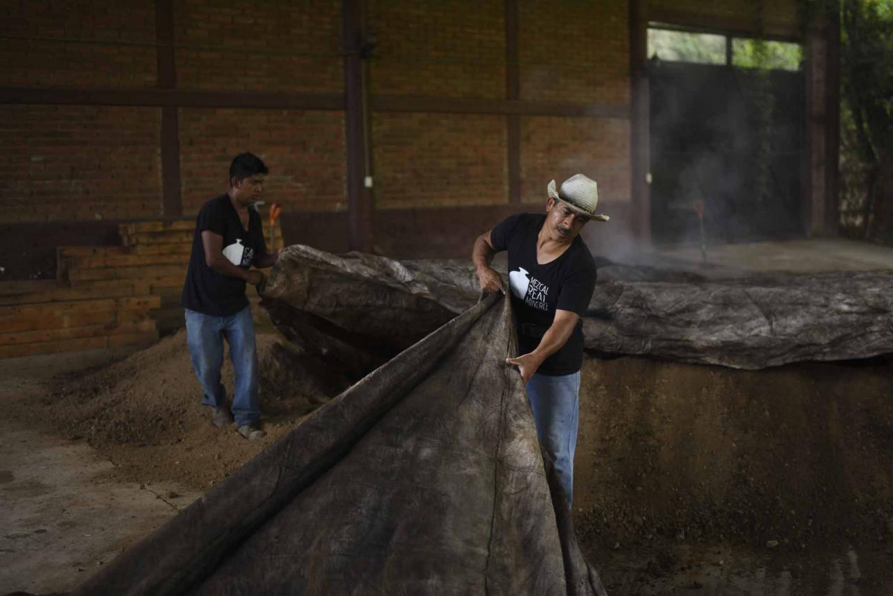 Workers cook agave pineapple at the Real Minero mezcal factory in Santa Catarina Minas, Oaxaca State, Mexico, on July 25, 2022. - Craft distillers fear mezcal will become victim of its own success. The fast-growing popularity of Tequila's lesser-known cousin is raising concerns about its sustainability as strong demand means that more land, water and firewood are needed to grow the agave plants and distill the smoky spirit. Faced with the boom, craft producers are committed to saving wild species by planting them and showcasing the artisanal process behind the liquor. (Photo by Pedro PARDO / AFP)