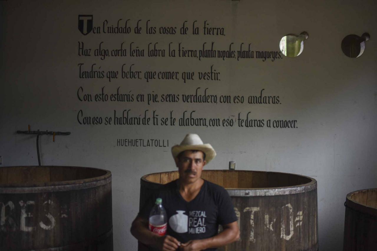 A worker looks on at the Real Minero mezcal factory in Santa Catarina Minas, Oaxaca State, Mexico, on July 25, 2022. - Craft distillers fear mezcal will become victim of its own success. The fast-growing popularity of Tequila's lesser-known cousin is raising concerns about its sustainability as strong demand means that more land, water and firewood are needed to grow the agave plants and distill the smoky spirit. Faced with the boom, craft producers are committed to saving wild species by planting them and showcasing the artisanal process behind the liquor. (Photo by Pedro PARDO / AFP)