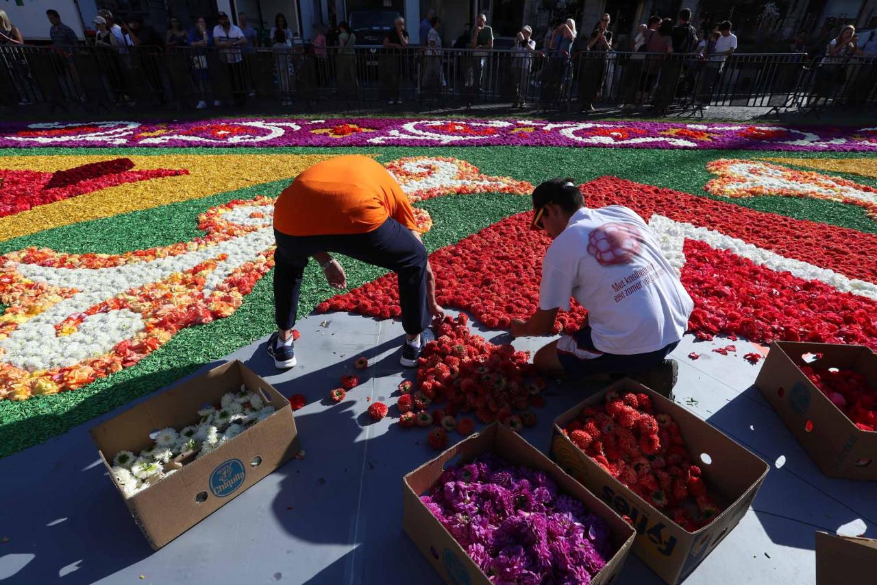 The last hand is put to the 50th edition of the Flower Carpet at The Grand Place/Grote Markt of Brussels, before it's opening today, Friday 12 August 2022. The show last four days, from 12 to 15 August.BELGA PHOTO NICOLAS MAETERLINCK