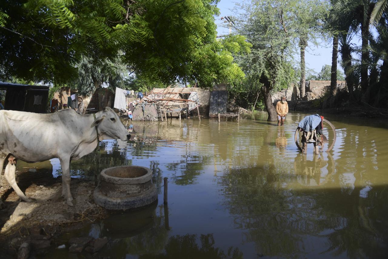 In this picture taken on August 28, 2022, 80-year-old Ghulam Rasool wades through floodwaters near his house on the outskirts of Sukkur, Sindh province. - The death toll from monsoon flooding in Pakistan since June has reached 1,061, according to figures released on August 29, 2022, by the country's National Disaster Management Authority. (Photo by Asif HASSAN / AFP)