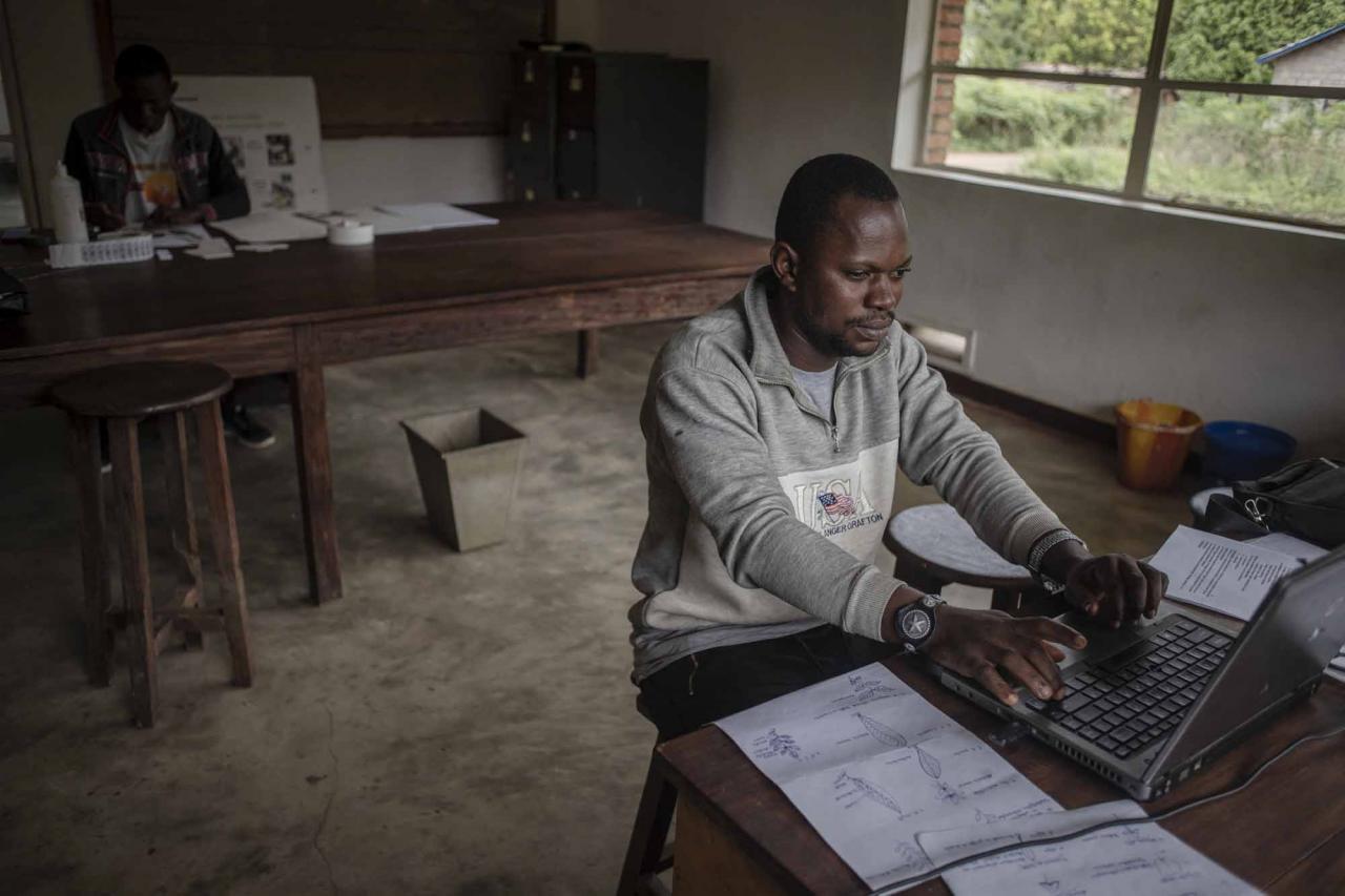 Robert Lokombe, 27, a forestry engineer, prepares herbarium labels for better classification and referencing during the digitisation at the herbarium in Yangambi, 100 km from the city of Kisangani, in Tshopo province, northeastern Democratic Republic of Congo, on September 2, 2022. - The site, renowned during the time of Belgian colonisation for its research in tropical agronomy, hosts a herbarium that has more than 6000 species. (Photo by Guerchom Ndebo / AFP)