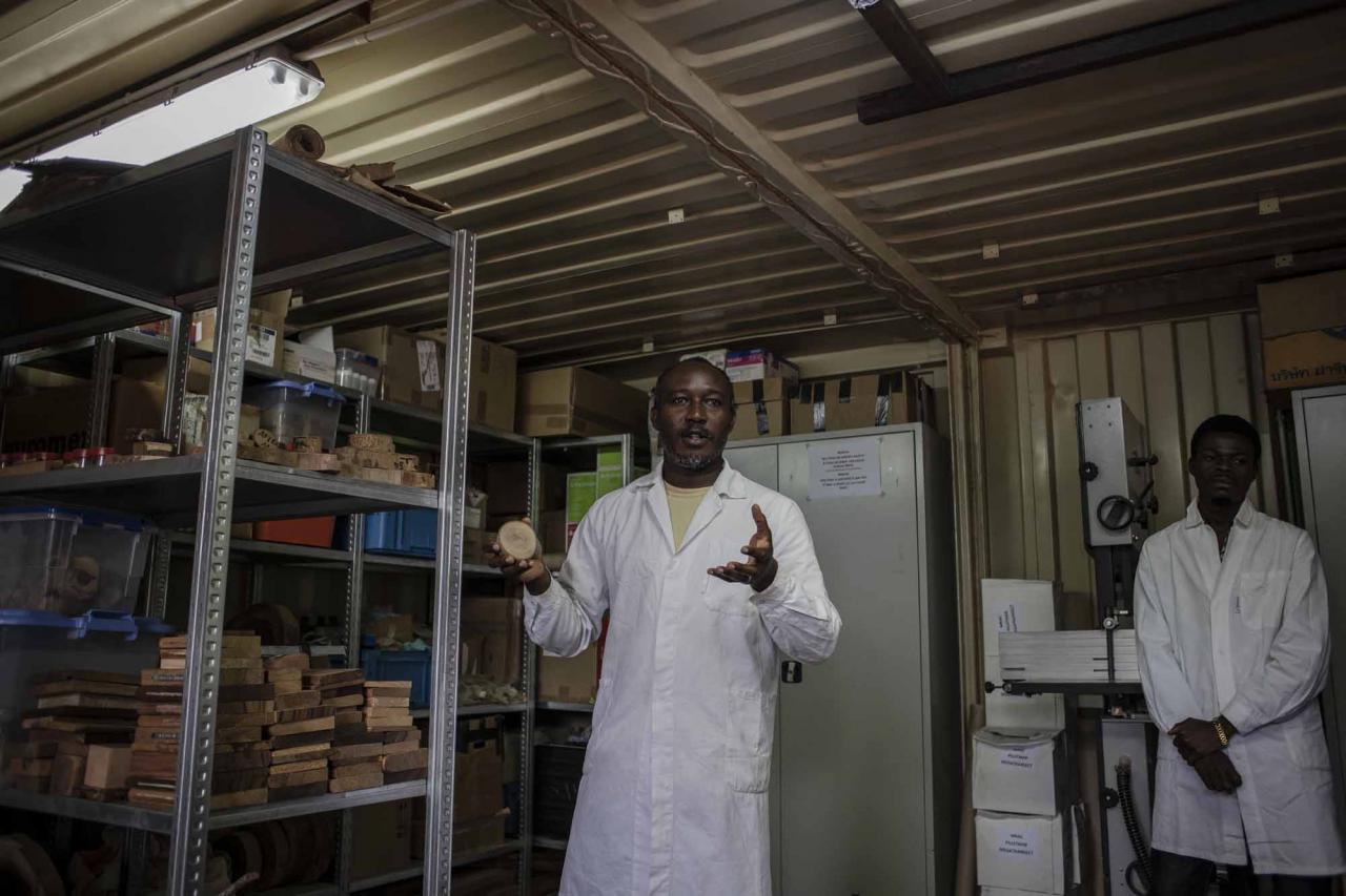 Nestor Luambua (L), who is in charge of the wood laboratory, explains how the laboratory works in Yangambi, 100 km from the city of Kisangani, in the Tshopo province, northeast of the Democratic Republic of Congo, on September 2, 2022. - The site, renowned during the time of Belgian colonisation for its research in tropical agronomy, hosts a herbarium that has more than 6000 species. (Photo by Guerchom Ndebo / AFP)