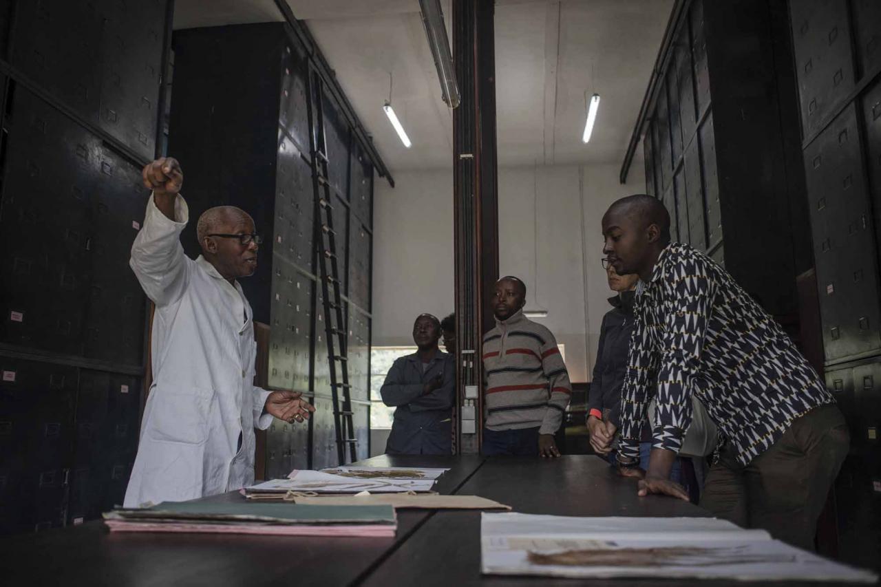 Elasi Ramazani (L), 69, director of the Yangambi Herbarium and a scientist for nearly 25 years, talks with other scientists in the room where they study herbs in Yangambi, 100 km from the city of Kisangani, Tshopo province, northeastern Democratic Republic of Congo, on September 2, 2022. - The site, renowned during the time of Belgian colonisation for its research in tropical agronomy, hosts a herbarium that has more than 6000 species. (Photo by Guerchom Ndebo / AFP)
