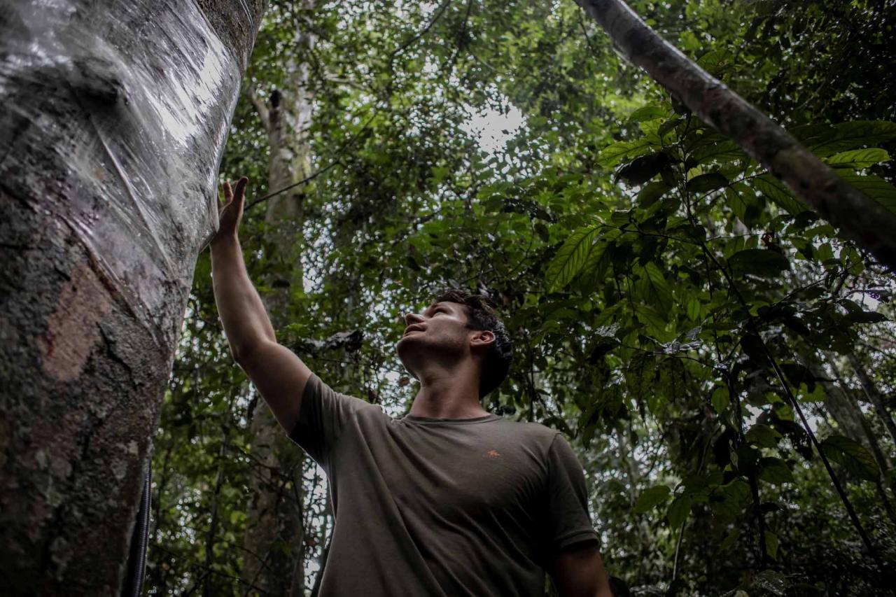 Thomas Sibret, scientist and student at the University of Ghent, verifies the devices installed in the trees in the Yangambi Biosphere Reserve, 100 km from the city of Kisangani, in the province of Tshopo, northeast of the Democratic Republic of Congo, on September 2, 2022 - The 55-meter high Flux Tower, which quantifies the carbon, absorbed or emitted by the forest, stands in the lush setting of the Yangambi biosphere reserve, which covers some 250,000 hectares along the Congo River, in the province of Tshopo. (Photo by Guerchom Ndebo / AFP)