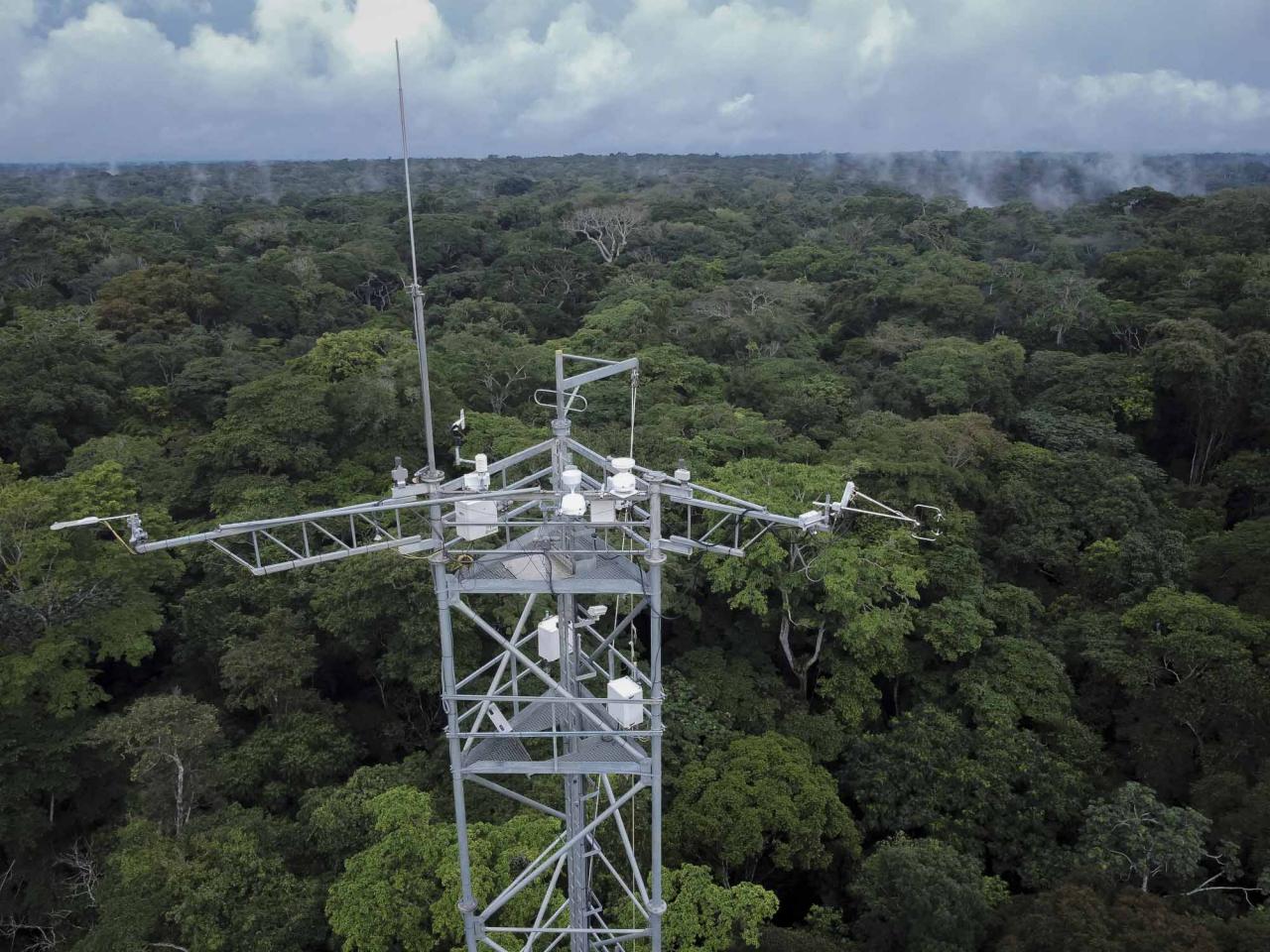 This aerial view shows trees in the Yangambi forest with the Flux Tower, 100 km from the city of Kisangani, in the Tshopo province, northeast of the Democratic Republic of the Congo on September 2, 2022. - The 55-meter high Flux Tower, which quantifies the carbon, absorbed or emitted by the forest, stands in the lush setting of the Yangambi biosphere reserve, which covers some 250,000 hectares along the Congo River, in the province of Tshopo. (Photo by Guerchom Ndebo / AFP)