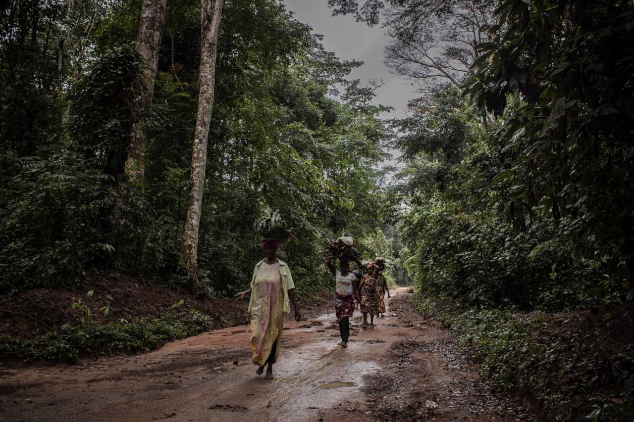 People walk along a road covered by primary forest in Yangambi Biosphere Reserve, 100 km from the city of Kisangani, in Tshopo Province, northeastern Democratic Republic of Congo, on September 2, 2022. (Photo by Guerchom Ndebo / AFP)