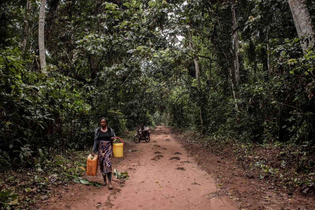 People walk along a road covered by primary forest in Yangambi Biosphere Reserve, 100 km from the city of Kisangani, in Tshopo Province, northeastern Democratic Republic of Congo, on September 2, 2022. (Photo by Guerchom Ndebo / AFP)