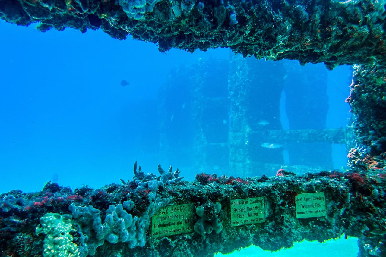 Le Neptune Memorial Reef, cimetière sous-marin utile a la faune aquatique