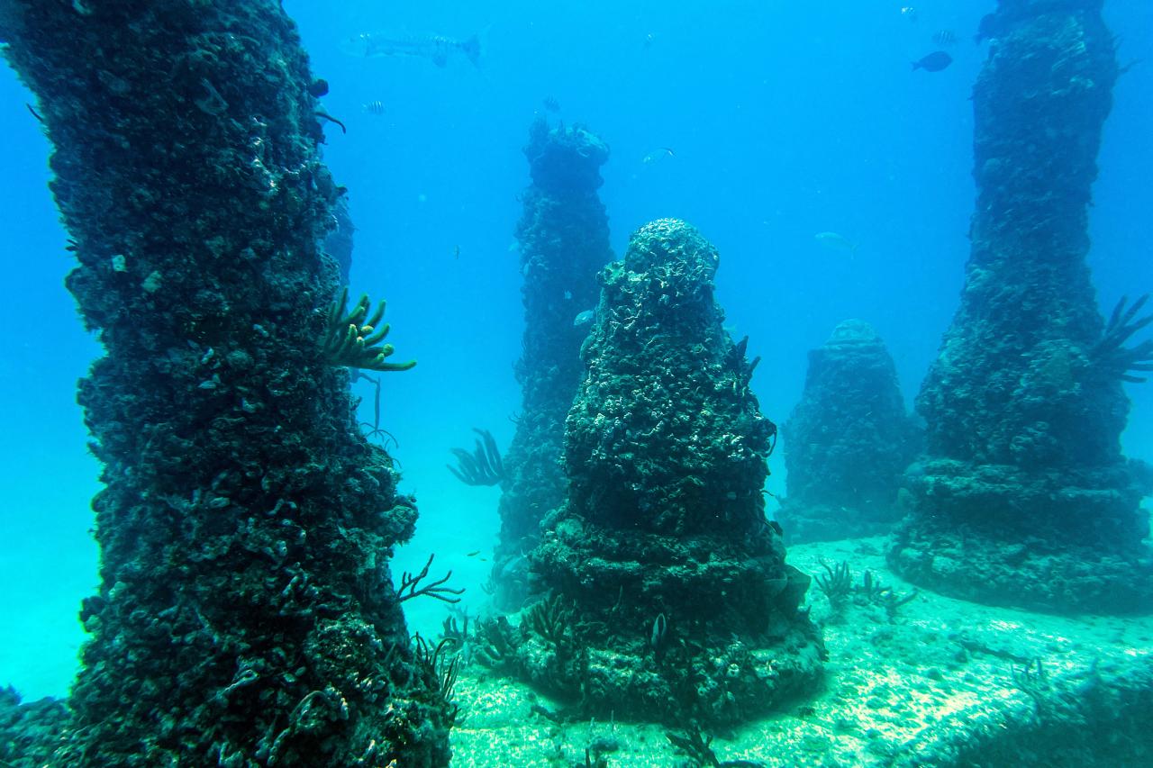 Fish swim through the man-made Neptune Memorial Reef, 3.25 miles (5.2 kms) off the coast of Key Biscayne, Florida, on May 14, 2022. - The memorial, which opened in 2007, is a columbarium 3.25 miles (5.2 km) off the coast of Key Biscayne, Florida, at a depth of 40 feet (12 meters.) The ashes of Chef Julia Child were interred in the reef upon her death in 2004. (Photo by CHANDAN KHANNA / AFP)