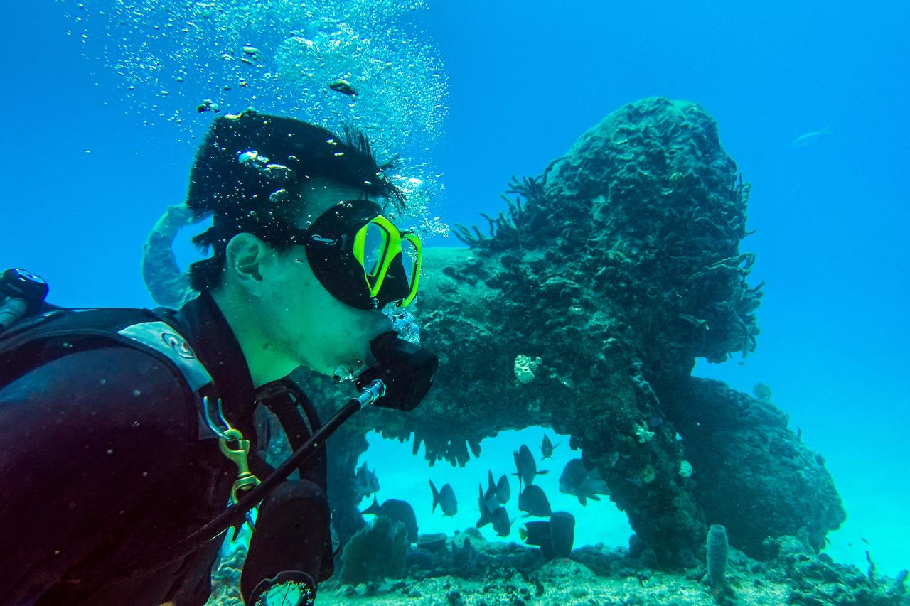Scuba divers swim through the man-made Neptune Memorial Reef, 3.25 miles (5.2 kms) off the coast of Key Biscayne, Florida, on May 14, 2022. - The memorial, which opened in 2007, is a columbarium 3.25 miles (5.2 km) off the coast of Key Biscayne, Florida, at a depth of 40 feet (12 meters.) The ashes of Chef Julia Child were interred in the reef upon her death in 2004. (Photo by CHANDAN KHANNA / AFP)