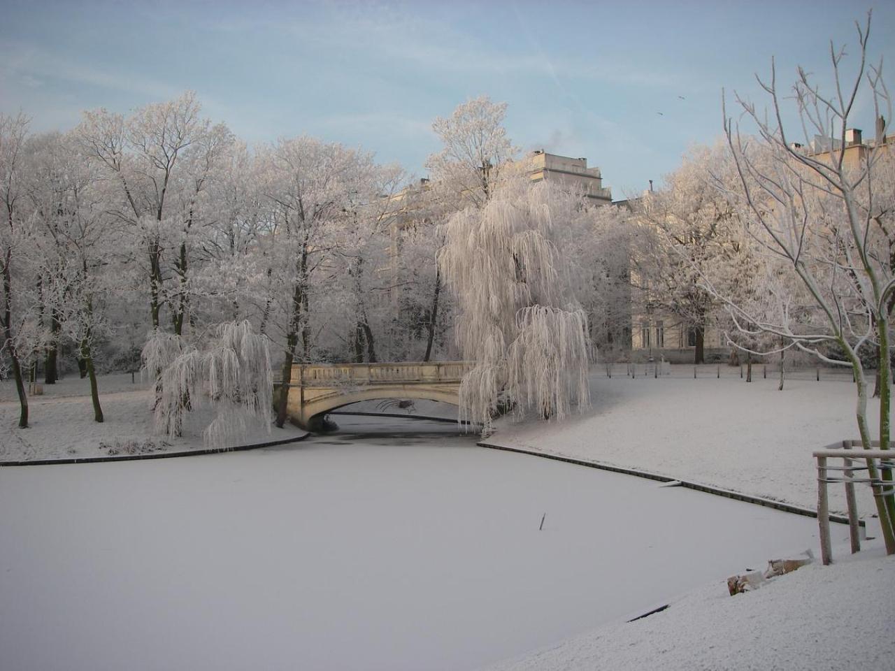 Sneeuw in het Leopoldpark in 2007